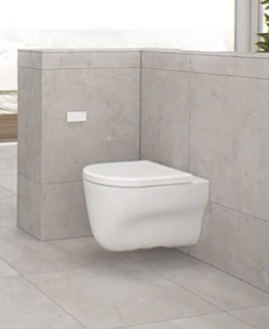 Chasse d'eau déportée