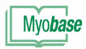 Myobase